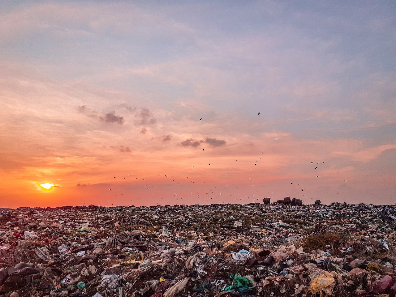 Upitnik o utjecaju klimatskih promjena na tekstilne radnice i radnike